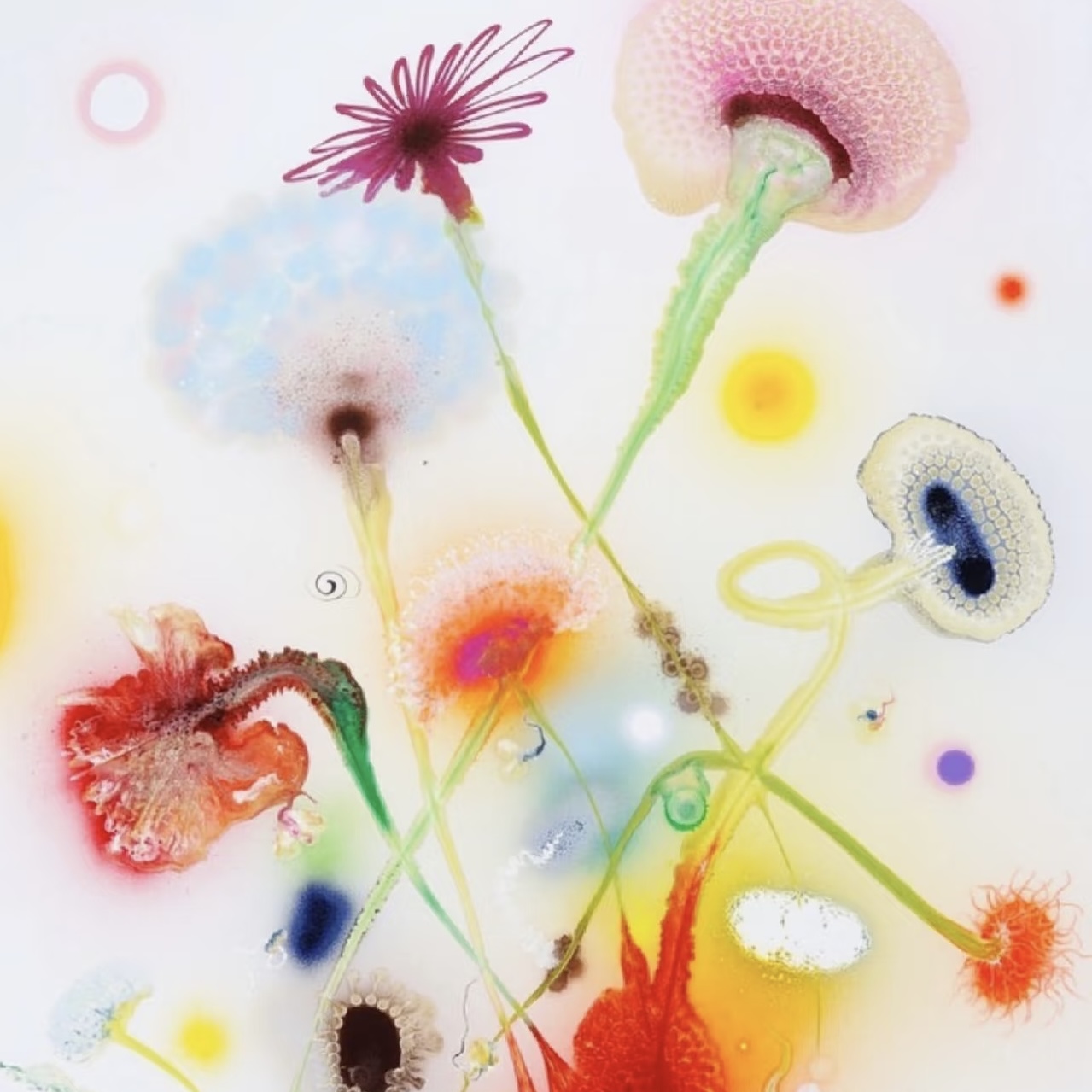 Lorem ipsum dolor sit amet, consectetur adipiscing elit